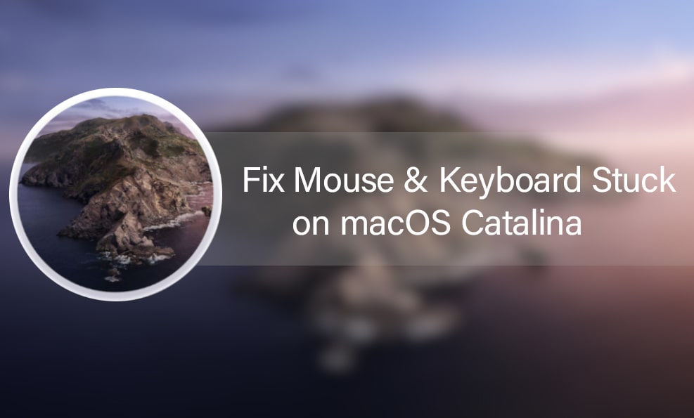 Fix Mouse & Keyboard Stuck on macOS Catalina